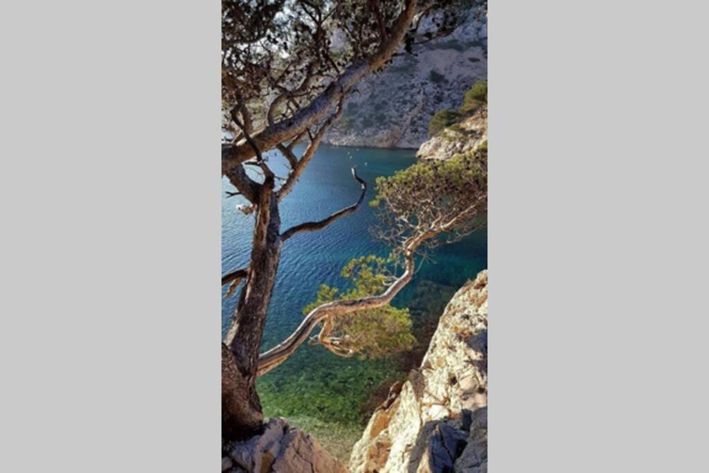 Suite Sur La Mer Marseille Corniche Екстериор снимка